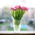 Jak sprawić by tulipany stały długo w wazonie?