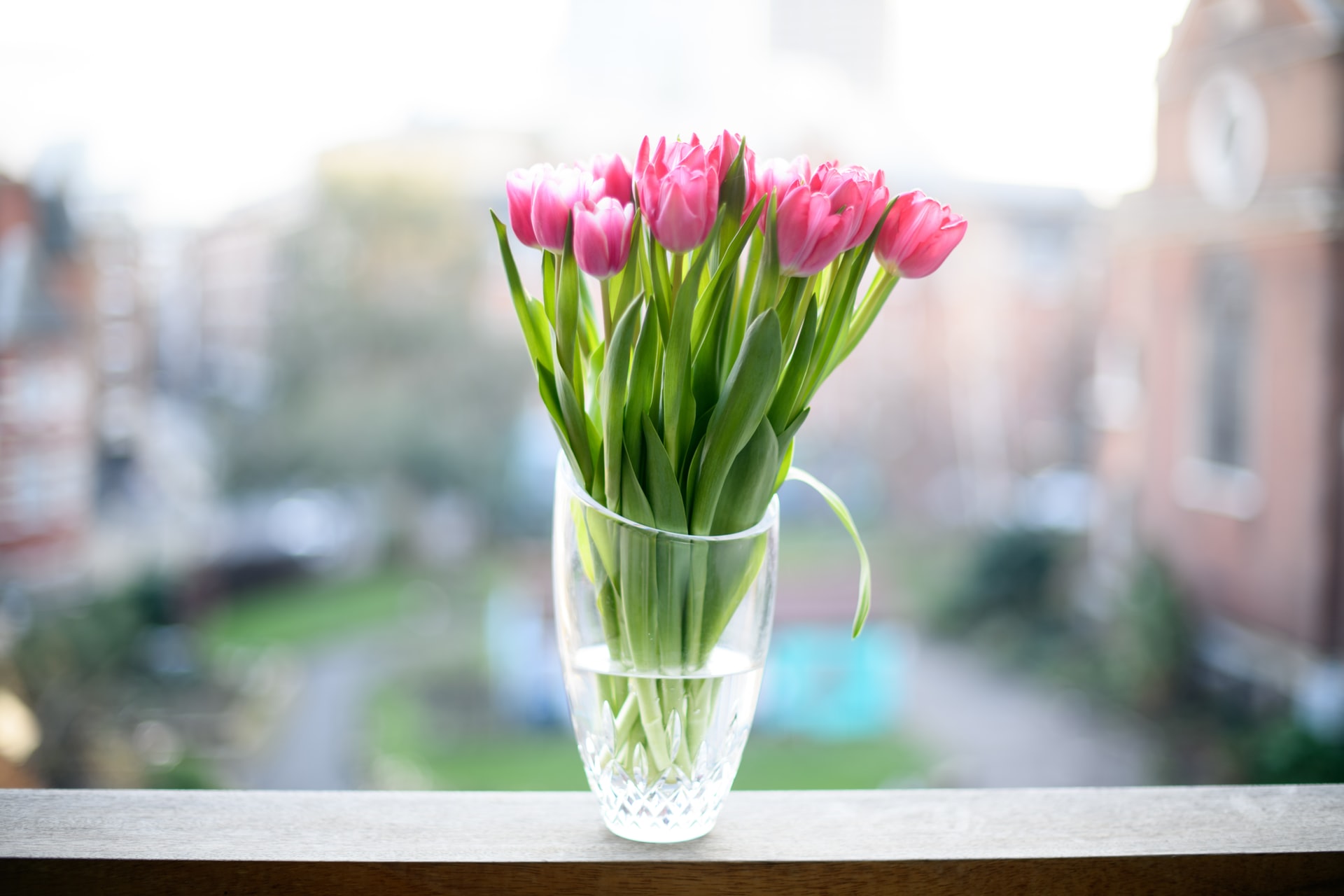 Jak sprawić by tulipany stały długo w wazonie?