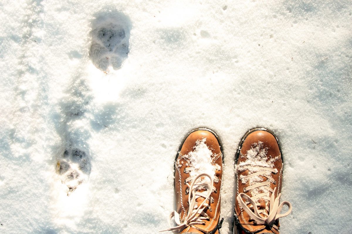 Jak przechowywać zimowe buty, aby nie straciły fasonu?