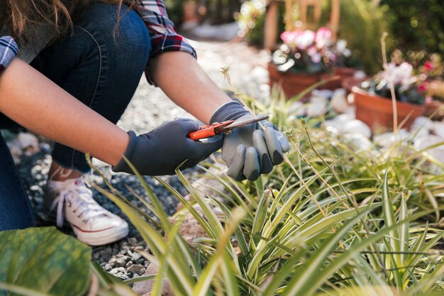 Poradnik wyboru idealnej kosiarki do twojego ogrodu: Przewodnik po narzędziach bezprzewodowych