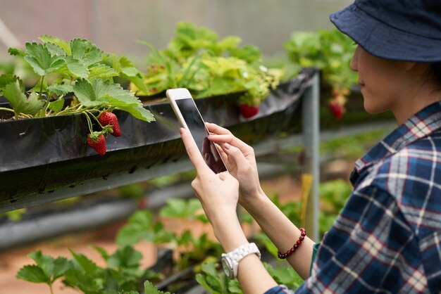 Nowoczesne technologie w pielęgnacji roślin: jak aplikacje mobilne mogą ułatwić życie ogrodnika